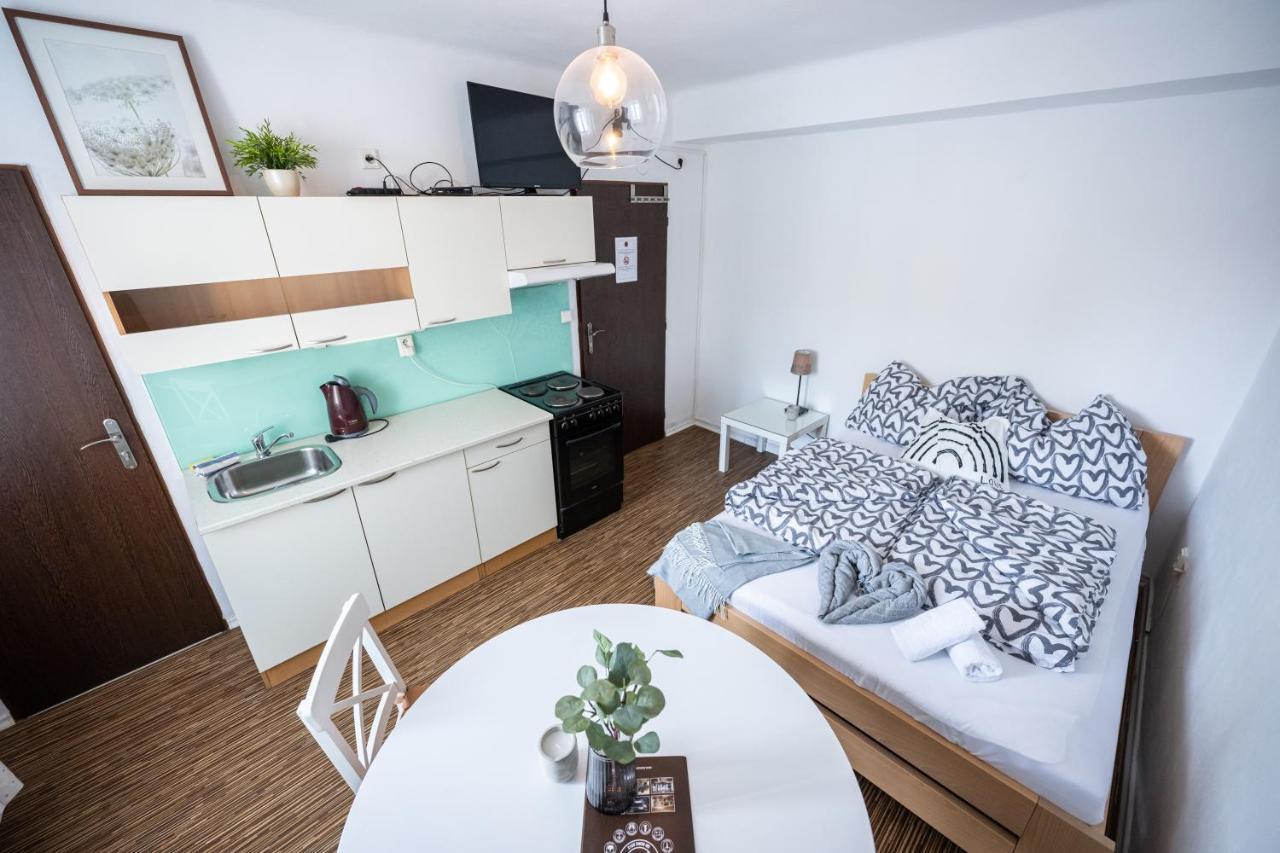 Apartmany Lanna チェスケー・ブジェヨヴィツェ エクステリア 写真